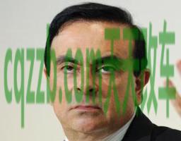 分享:卡洛斯-戈恩_什么是卡洛斯-戈恩 第2张