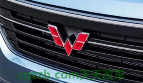 2021年车标还用贴吗(汽车车标可以改装吗)  第2张