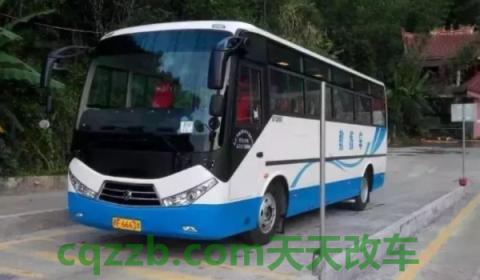 聊一聊：b2驾驶证能开什么车(B2机动车驾驶证一次性记满12分有影响吗)  第3张