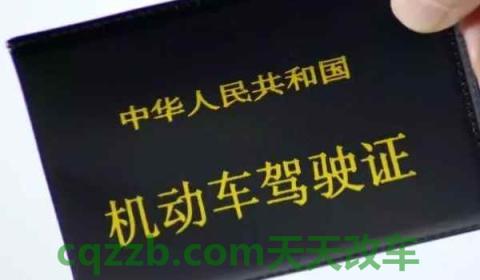 怎么查有没有预约成功(机动车驾驶证考预约可以取消吗)  第3张