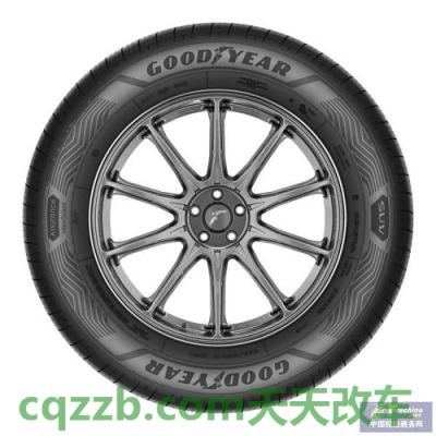 原来:固特异轮胎 第5张