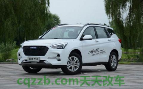 车标haval是什么车(哈弗理念) 第2张