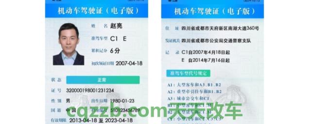 电子驾驶证是什么样子的(机动车驾驶证丢失怎么补办)