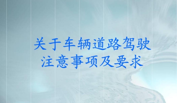 交叉路口两条平行白色虚线是什么(车辆行驶在道路注意什么)  第2张