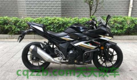 gsx250几秒破百(gsx250的价格)  第2张