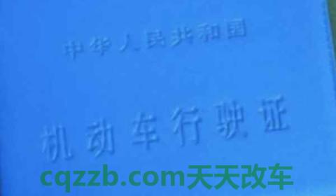 行驶证丢了可以异地补吗(行驶证丢失可以驾驶机动车辆吗)  第2张