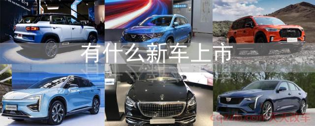 有什么新车上市(2020年新款SUV上市)  第1张
