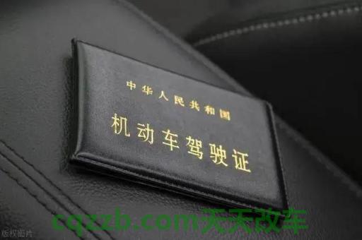 简单说说：驾驶证年审_交通业务办理  第2张