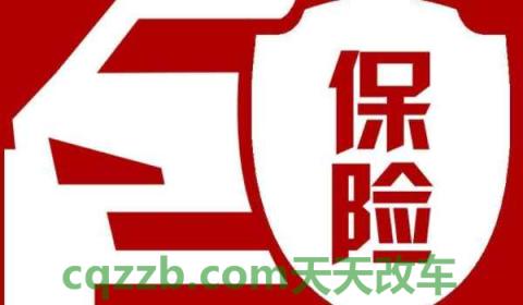 行驶证可以拍给保险员看吗(机动车购买保险可以提前多久)  第2张