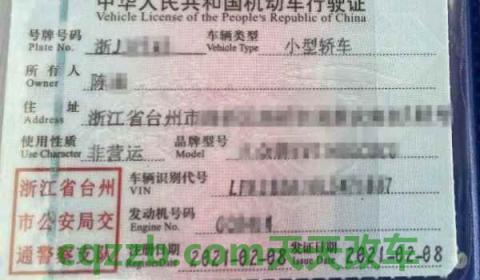 行驶证照片尺寸规格多大(机动车行驶证丢失在哪里补办)  第3张