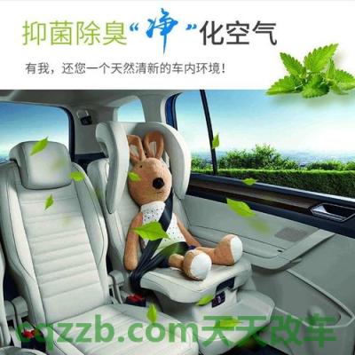 汽车知识：车内异味去除技巧_什么是车内异味去除技巧  第9张