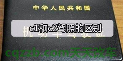 解答：c1和c2驾照哪个好_交通问题