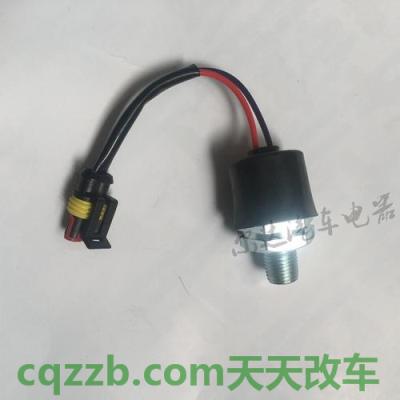 关于汽车:刹车发出刺耳声音 刹车灯开关在哪个位置 第2张