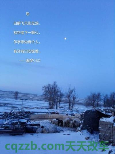 车友：狄思豪_什么是狄思豪