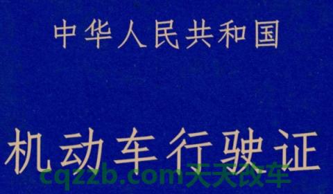 讲解：新电动车牌照没下来能上路吗(机动车辆号牌丢失在哪里补办)  第3张