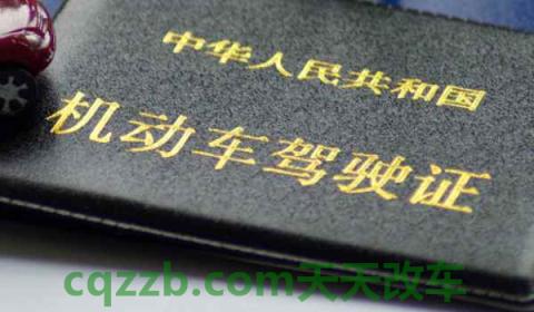 机动车驾驶证丢失的应该到哪里补发(机动车驾驶证如何获得)  第3张