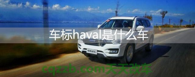 车标haval是什么车(哈弗理念)