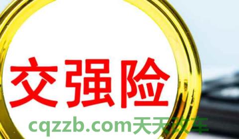 退车保险需要什么材料和手续(交强险可以退吗)  第3张