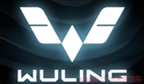 五菱发动机是什么牌子(五菱品牌使用的发动机是哪里生产的)  第2张