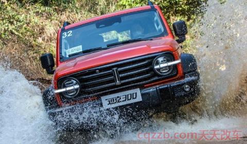 坦克300是哪个品牌(坦克300越野性能怎么样)  第3张