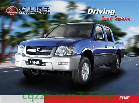 有用：长丰扬子厂商_什么是长丰扬子厂商  第2张