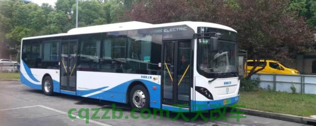 开大巴车的什么驾驶证(开大巴车除了驾驶证还需要哪些证件)