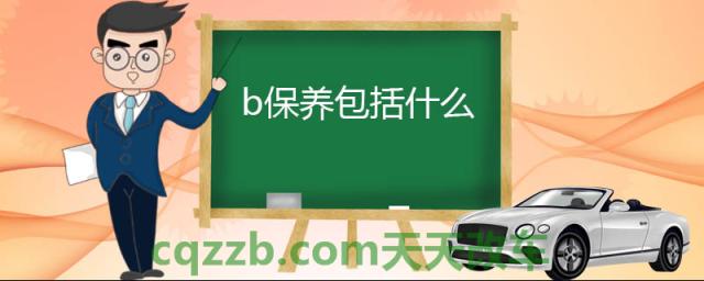 b保养包括什么(汽车保养简介)