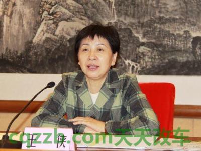 了解汽车：王侠_什么是王侠