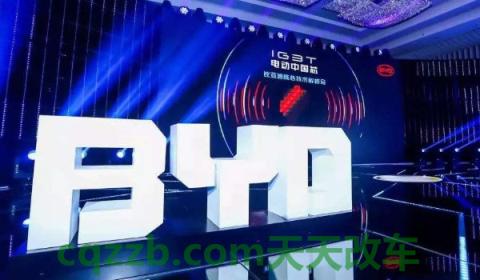 比亚迪名字的由来(比亚迪品牌的标志)  第3张