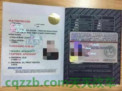 解答：国际驾照_什么是国际驾照  第2张