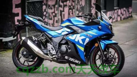 铃木gsx250r最高时速(铃木gsx250r的参数)  第2张