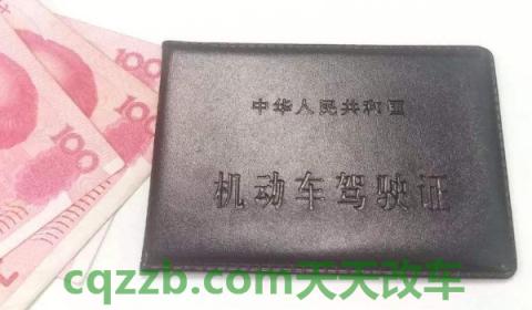 d证驾驶证的驾驶范围(d证驾驶证考试有几项)  第2张