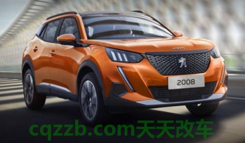 讲解：标致2008油箱是多少升的(标致2008的底盘转向系统是什么)  第2张